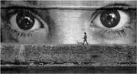 488 - PROMENADE SURVEILLEE - BACLE JEAN CLAUDE - france <div